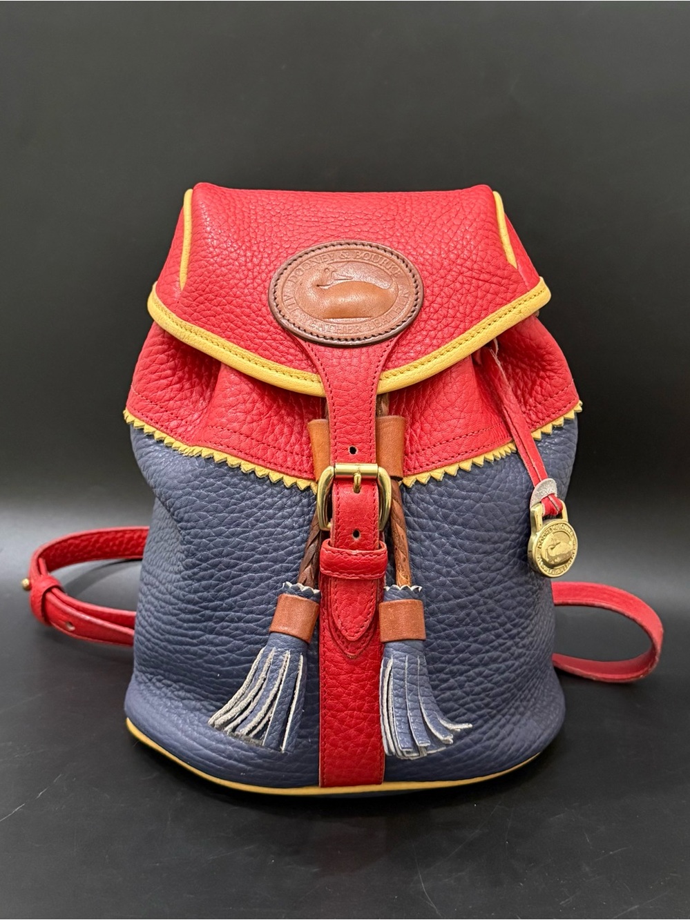 Rare Vintage DOONEY & BOURKE Teton AWL Lipstick Red Navy Yellow Leather Backpack